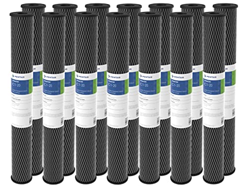 Pentair Pentek C1 (14 Count)