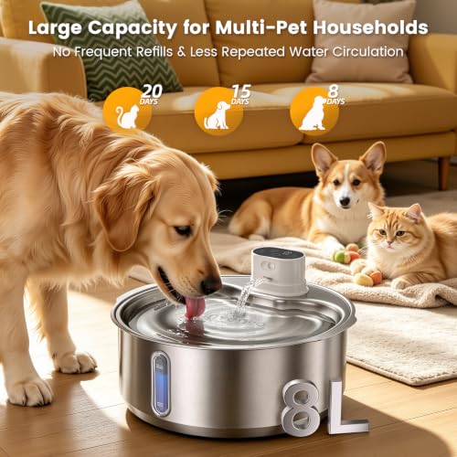 8L 270oz Cordless Stainless Steel Dog Water Fountain