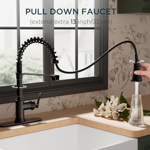 Rustic Kitchen Faucet with Pull Down Sprayer
