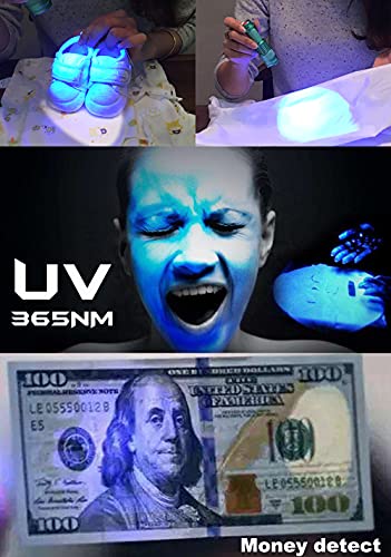 UV 365nm Light Rechargeable Flashlight Blacklight Wood's Lamp Mini