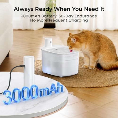 Wireless Cat Water Fountain