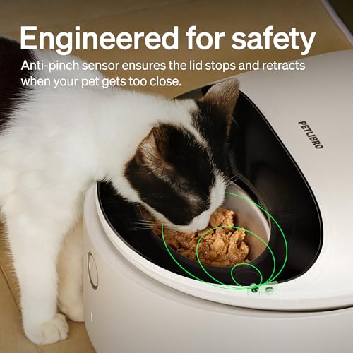 Automatic Cat Feeder Wet Food with Stainless Steel Bowl