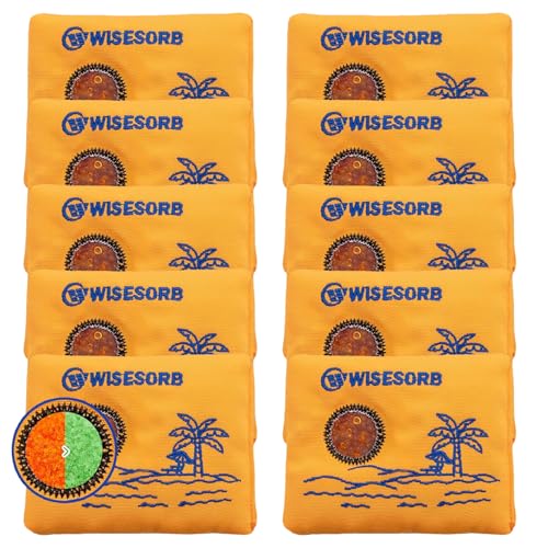 100g x 10 Pack Reusable Desiccant Packs for Storage (10 Packets)