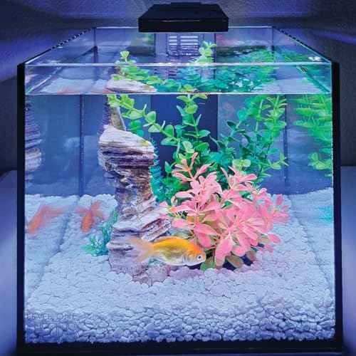3 Gallon Mini Betta