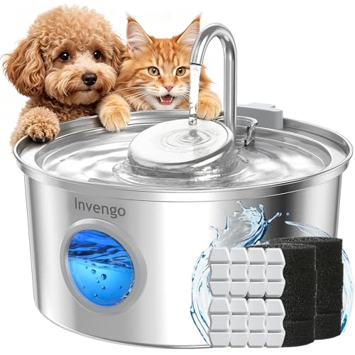 Cat Water Fountain Stainless Steel