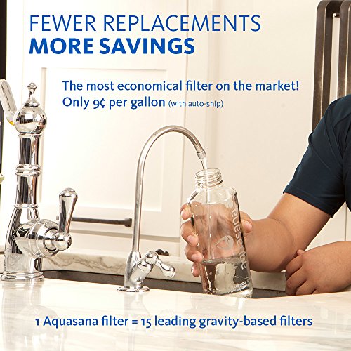 Under Sink Water Filter System