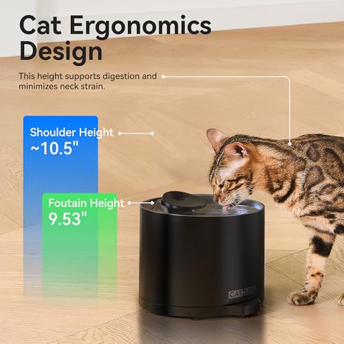 Pure 2 LITE Cat Water Fountain
