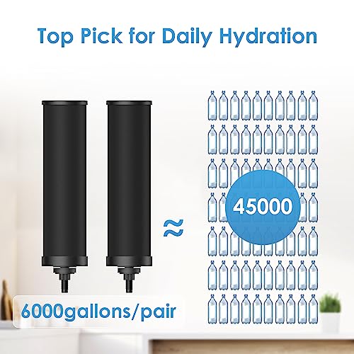 TN A Gravity Water Filter System