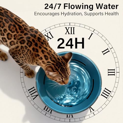 Cat Water Fountain