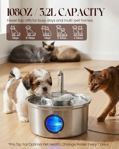 Stainless Steel Cat Water Fountain with Bowl 108oz (108 Fl Oz)