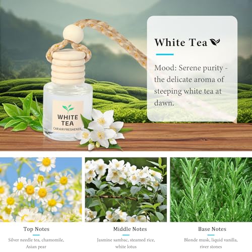 White tea&Bamboo Car Air Freshener