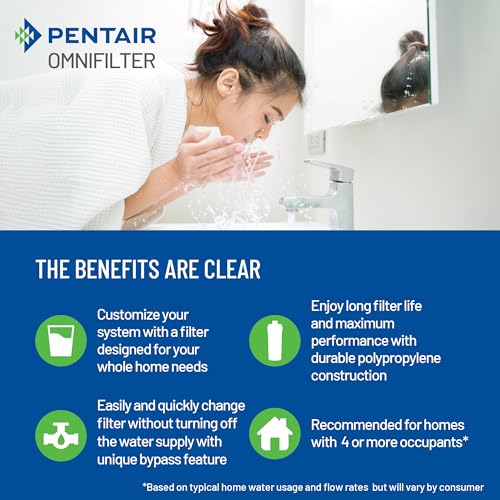Pentair OMNIFilter Whole Home Valve
