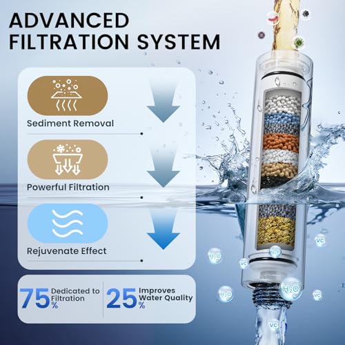 Filtered Shower Head with Handheld