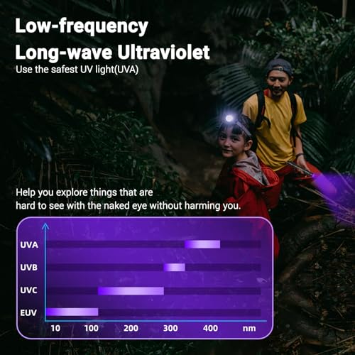 UV Black Light Flashlight Mini