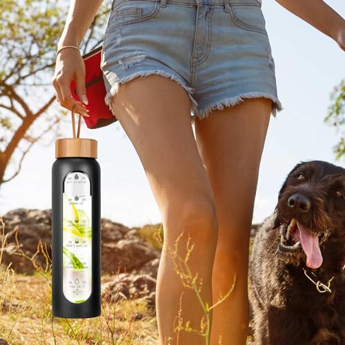 Glass Water Bottles 25 Oz with Silicone Sleeve