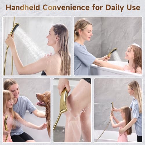 Dual Shower Head with Handheld