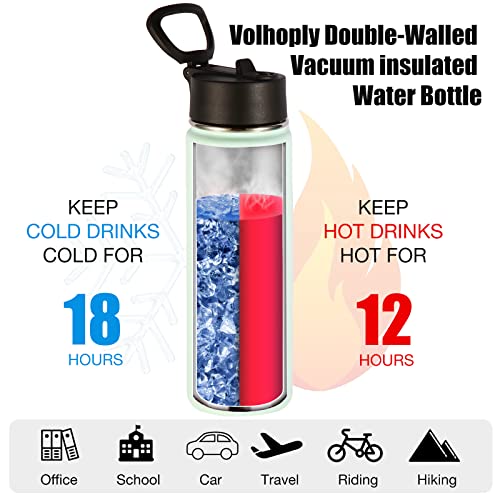 Insulated Water Bottles with Straw Bulk 4 Pack