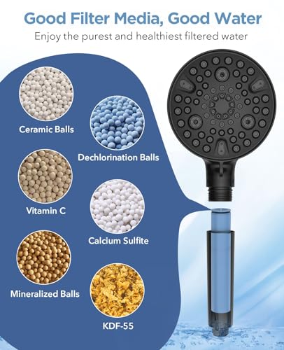 Filtered Shower Head with Handheld