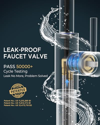 Kitchen Faucets with Pull Down Sprayer