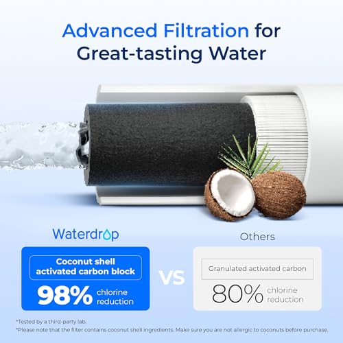 I2000 2 Water Filter Replacement for Pentair® Everpure