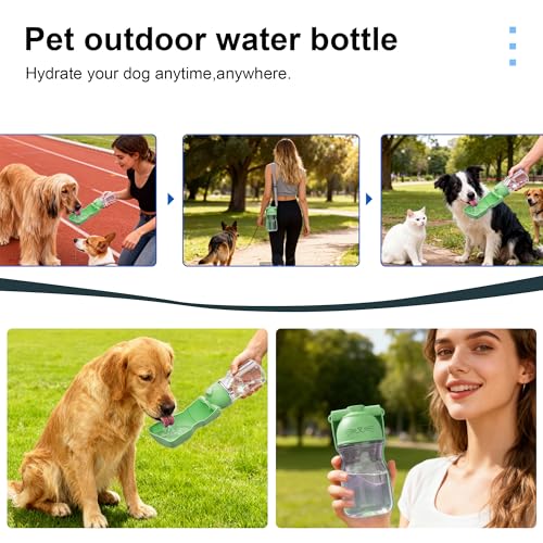 Dog Water Bottle
