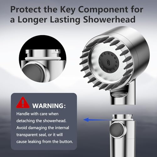 Filtered Shower Head with Handheld