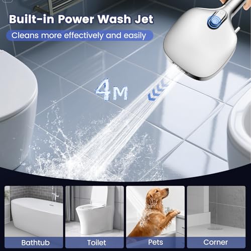 Filtered Shower Head with Handheld
