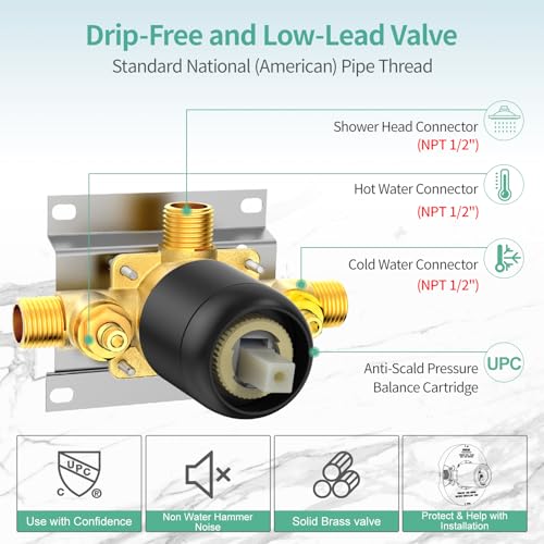 Dual 2 in 1 Shower System with Handheld