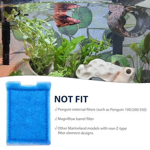 Fish Tank Rite (8 Count)