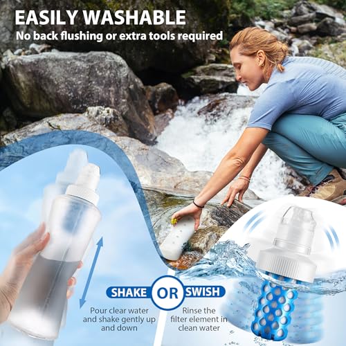 2 Pack Water Filter Cartridge Compatible with Katadyn BeFree (2 Count)