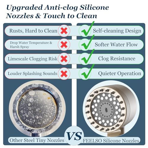 Filtered Shower Head with Handheld
