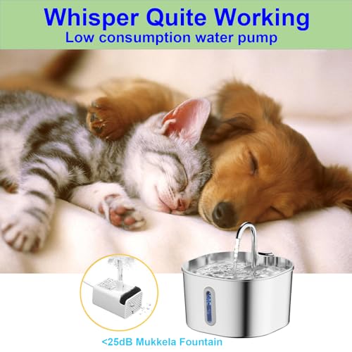Cat Water Fountain Stainless Steel