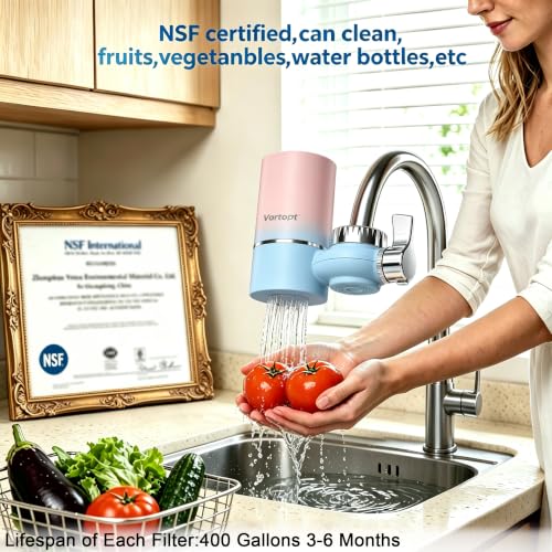 T1 Faucet Water Filter System