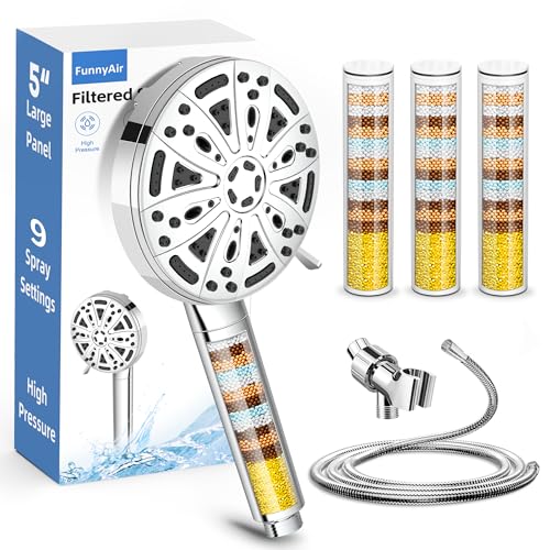 Filtered Shower Head with Handheld (3 Count)