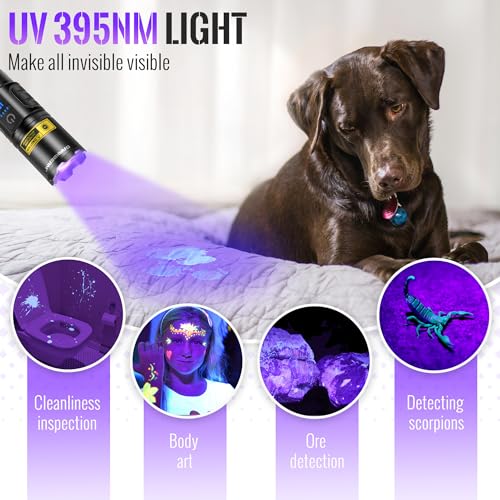 UV Flashlight Blacklight 395nm Black Light