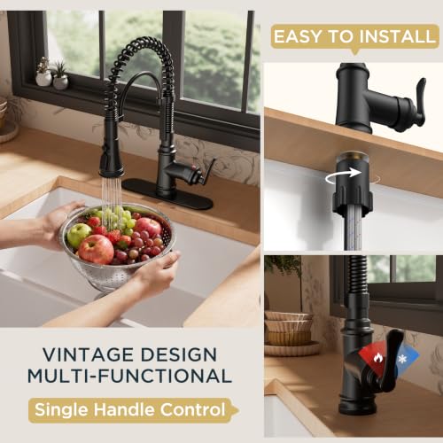Black Kitchen Faucet with Pull Down Sprayer