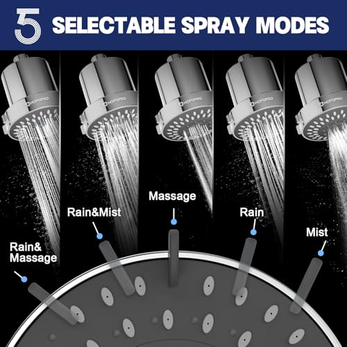 4 Inch Filtered Shower Head with 5 Settings