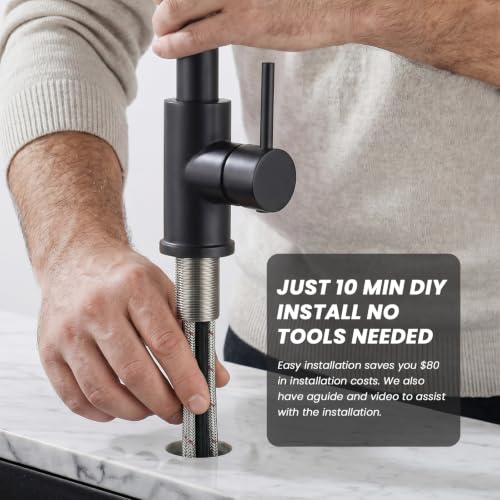Kitchen Faucet with Pull Down sparyer