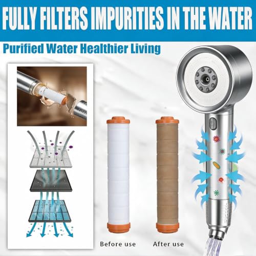 High Pressure Shower Head with Handheld