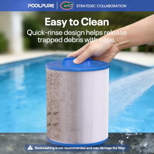 PWW50P4 Spa Filter