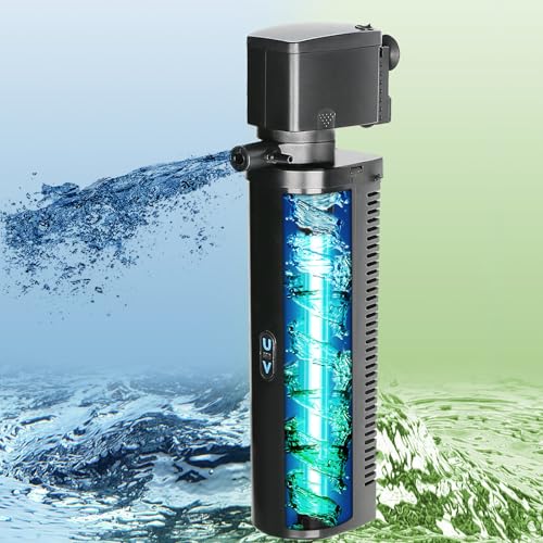 Large Aquarium U