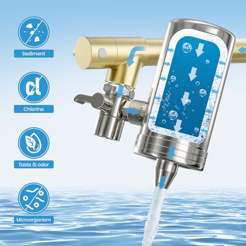 Gold Kitchen Faucet with Water Filter