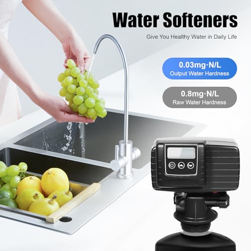 Digital Control Valve for Water Softeners