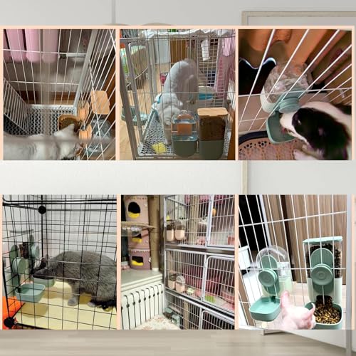 Rabbit Feeder (2 Count)