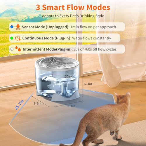 HoneyGuardian Cat Water Fountain