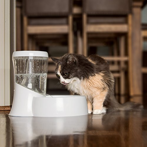 Fresh Flow Rain Battery Fountain for Cats and Dogs