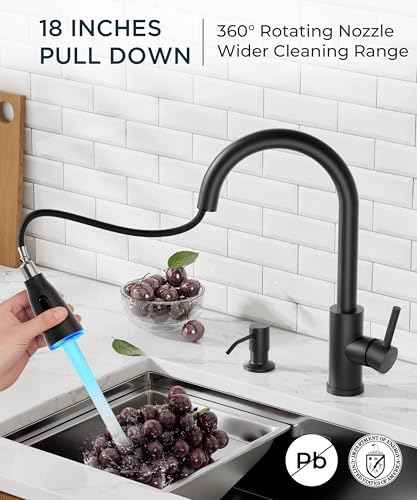LED Kitchen Faucet with Soap Dispenser