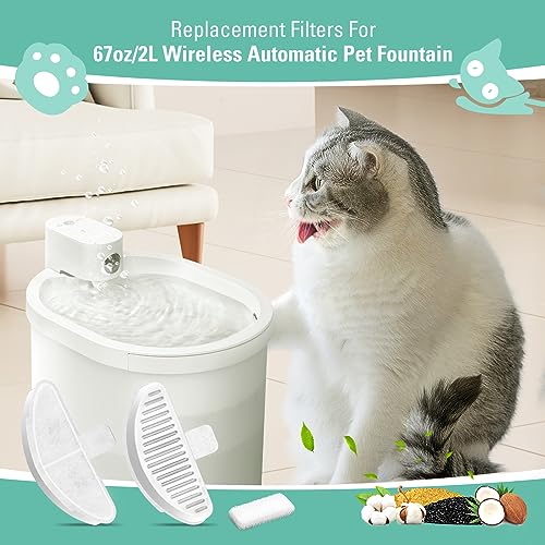 6 Pack Replacement Filters & 12 Pack Filter Sponges for 67oz