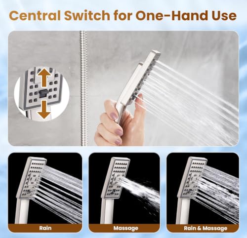 Rain Shower Head with Handheld Spray