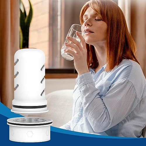 Pitcher Filters Compatible with LifeStraw